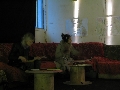 Cliquez ici pour voir l'image (11.JPG)