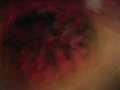 Cliquez ici pour voir l'image (02.JPG)