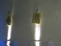 Cliquez ici pour voir l'image (04.jpg)