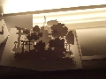 Cliquez ici pour voir l'image (05.jpg)