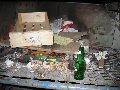 Cliquez ici pour voir l'image (24.jpg)